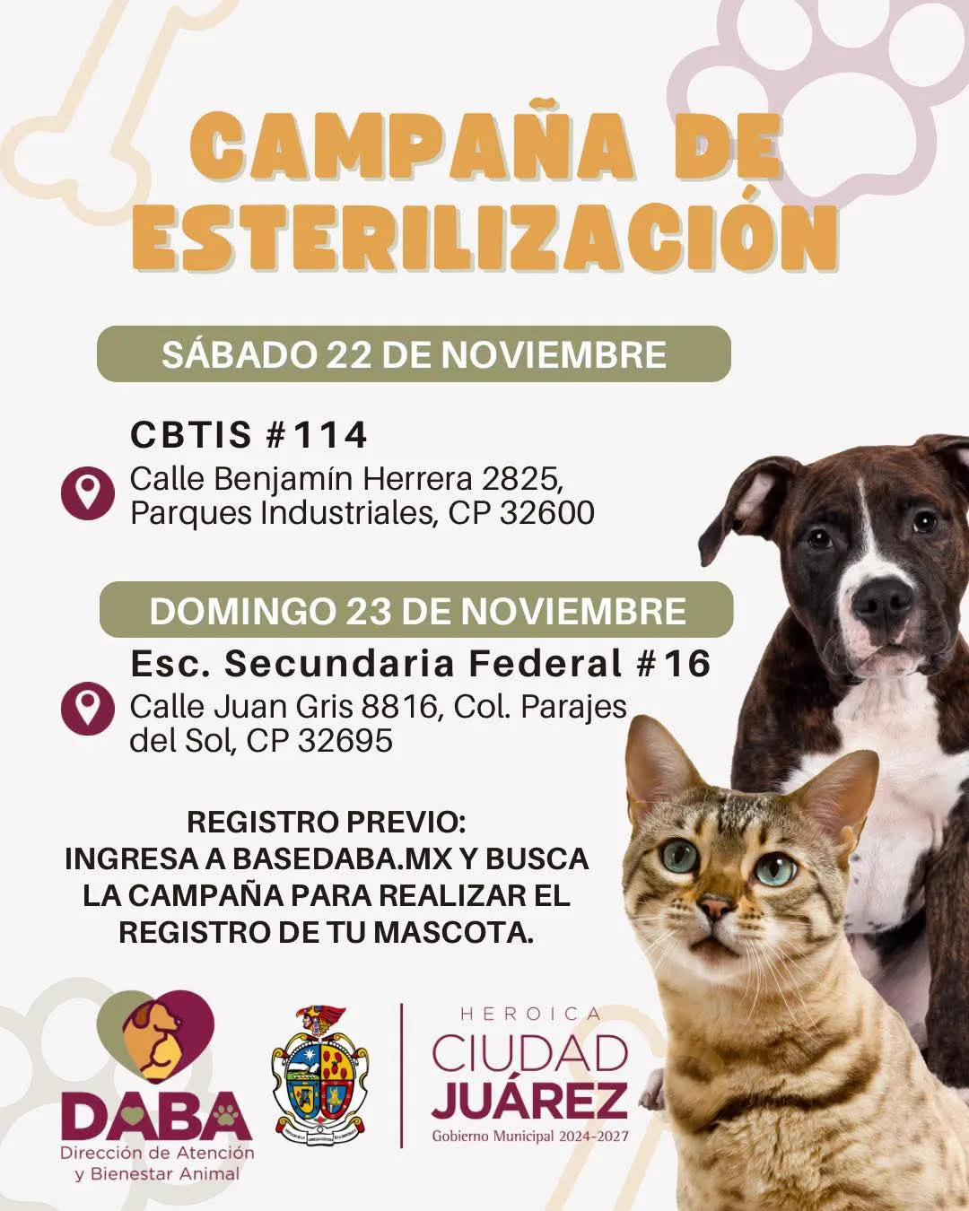 691cbf57e4a1d__691cbf57e4a1f