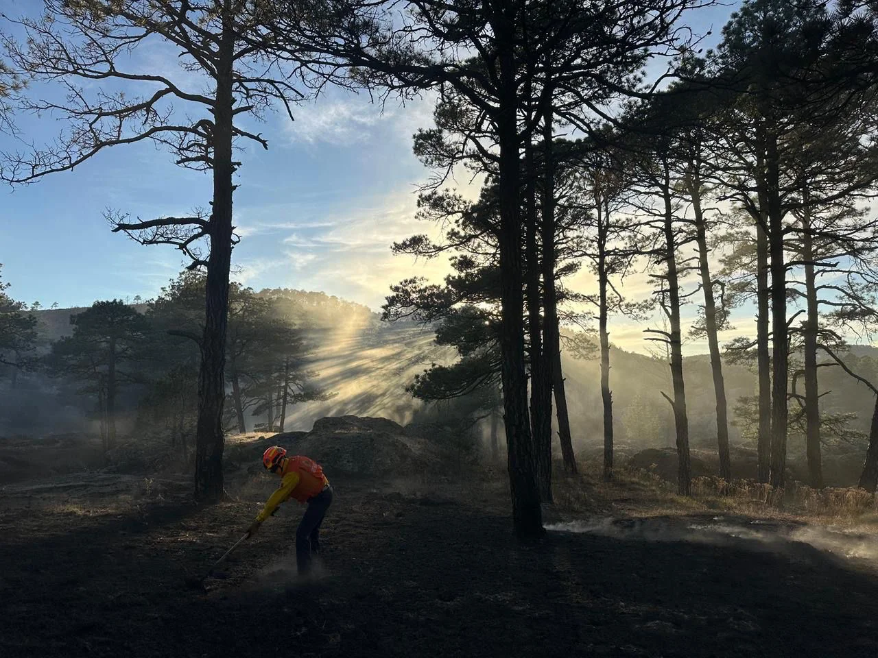 eac2d2df-6b73-4274-9068-6ac7feb4d0ff