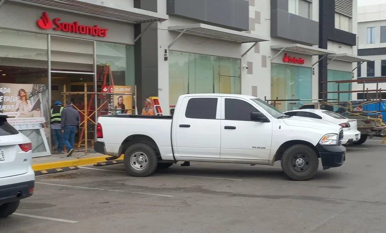 multimedia.normal.9901af435e0731bd.bm9ybWFsLndlYnA=