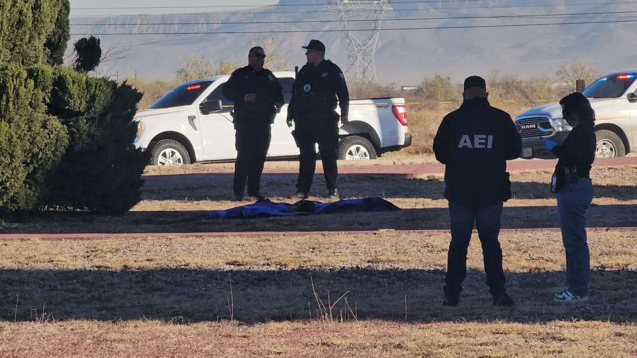 multimedia.normal.847ad874a80e8fe5.bm9ybWFsLndlYnA=