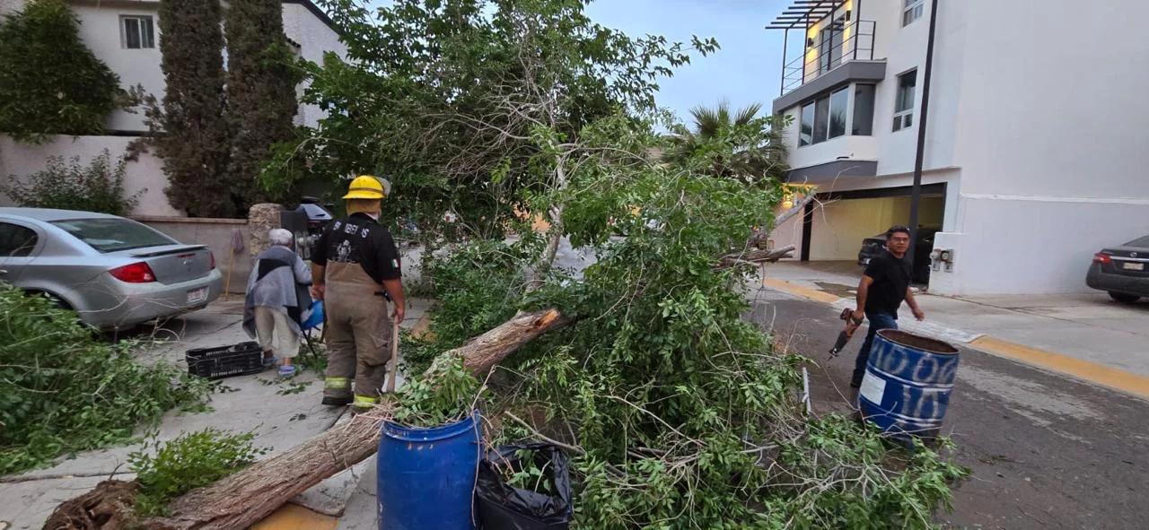 69da67ab6d3a1__69da67ab6d3a2