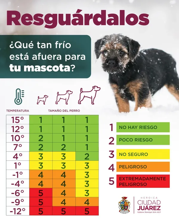 6973d4911a987__6973d4911a988