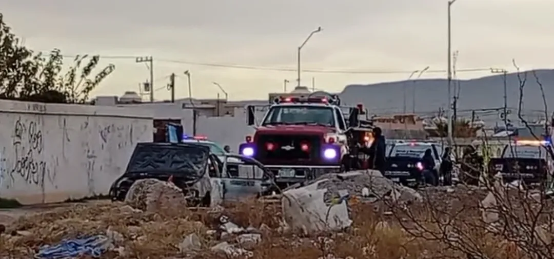 multimedia.normal.aa992a839316ced5.bm9ybWFsLndlYnA=