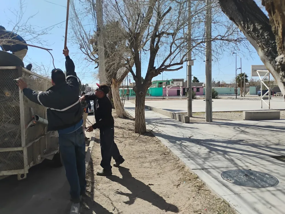 6999fbc0c1c18__6999fbc0c1c19