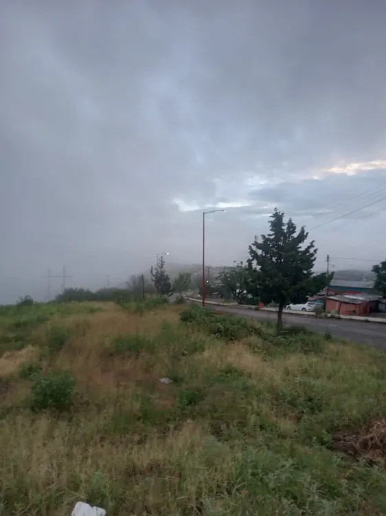 IMG-20260610-WA0013